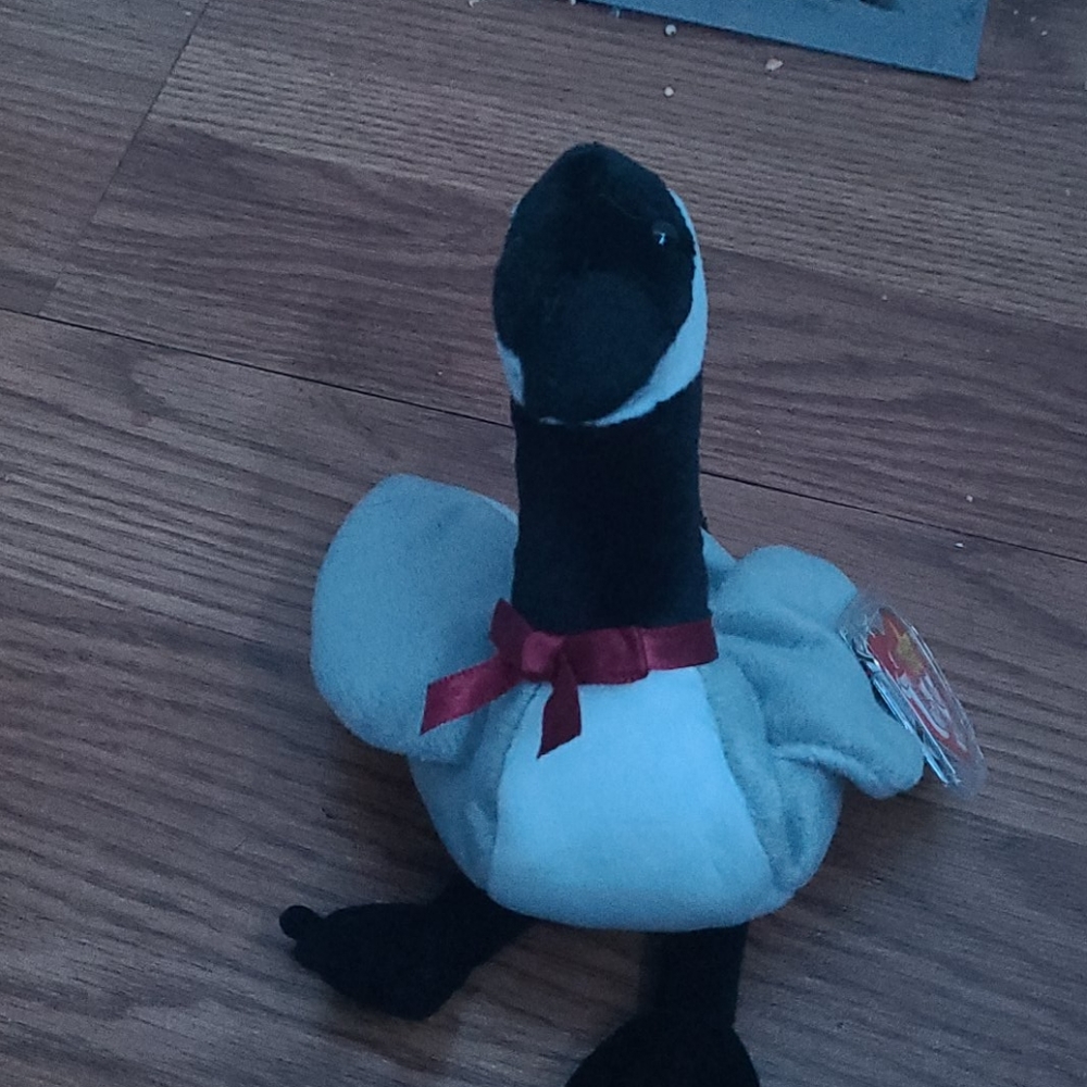 Goose